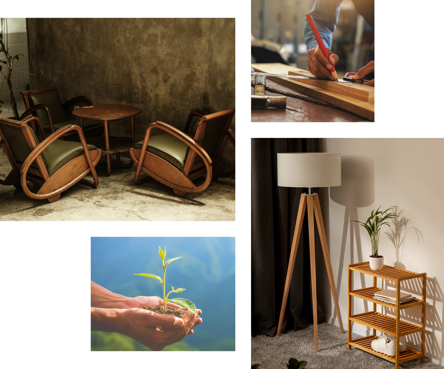 Image with text section