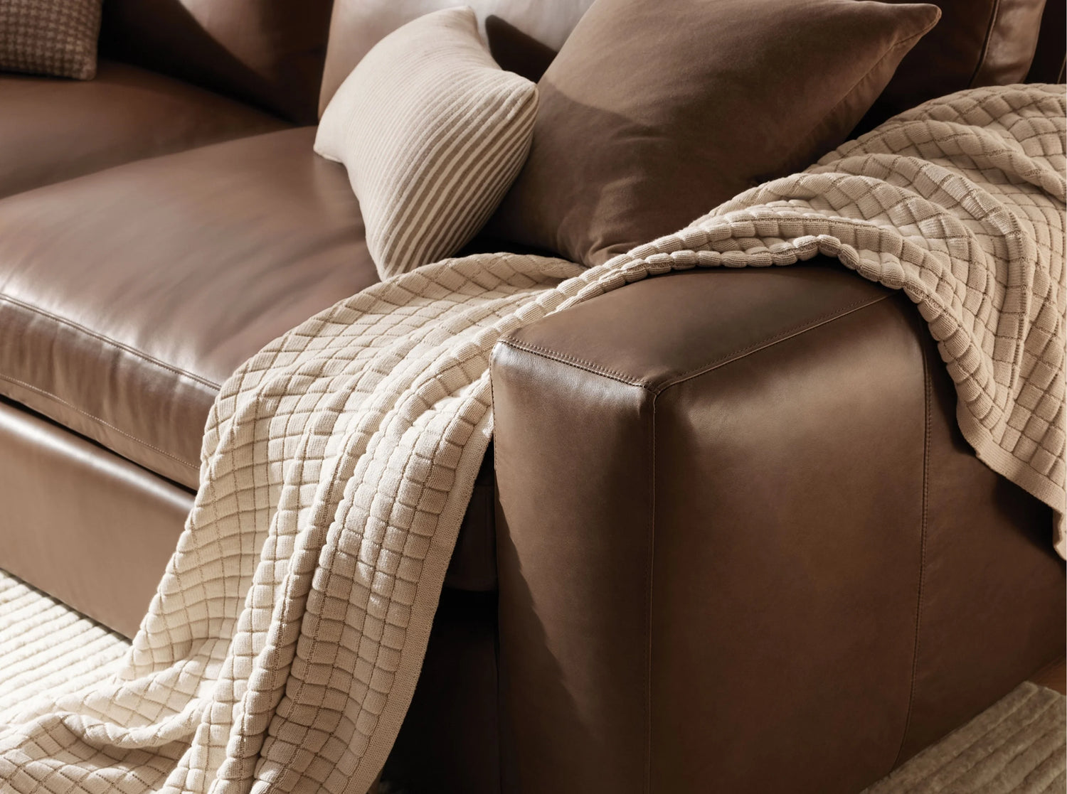 Image with text section